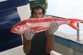 FBOA : Seychelles Fishing Boat Owners Association