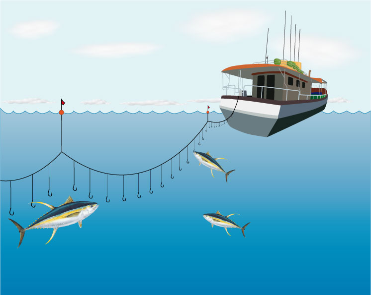 What Is Handline Fishing? Everything You Need To Know